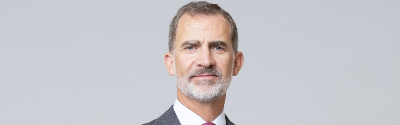 felipe vi retrato