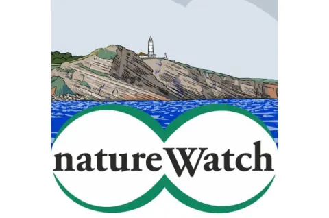 nature watch logotipo des