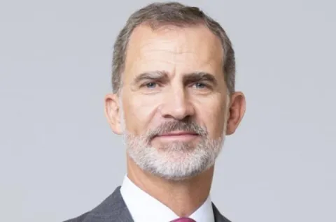 felipe vi retrato des